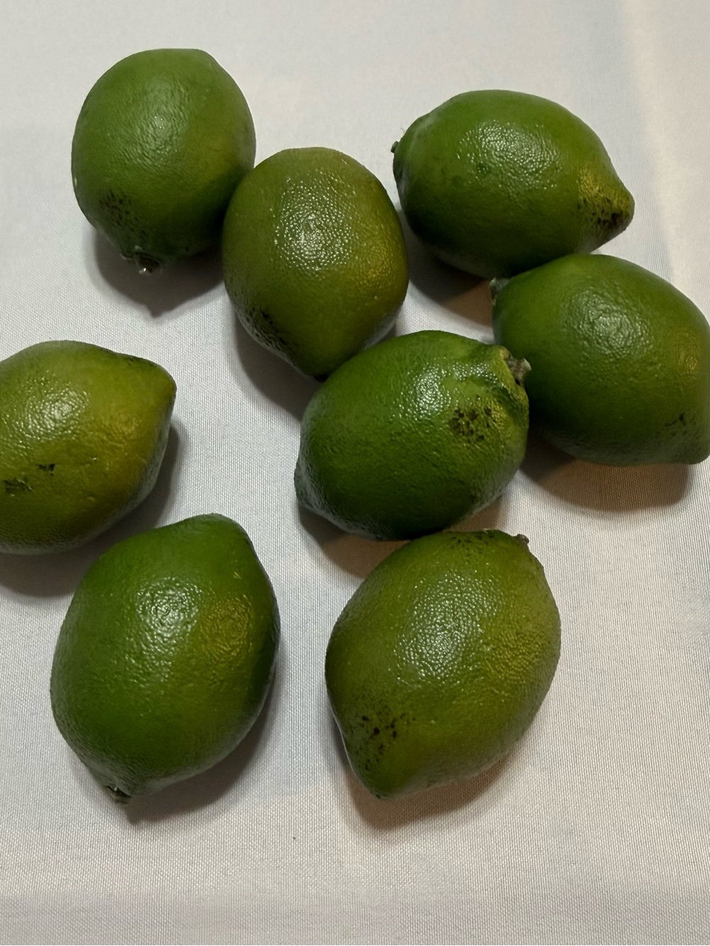 Set of 8 Realistic Faux Limes
